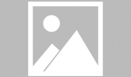 许敏案最新爆料天涯,天涯爆料揭开惊人内幕